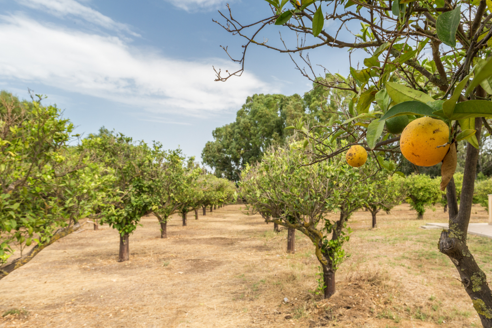 Business Insurance Temecula CA